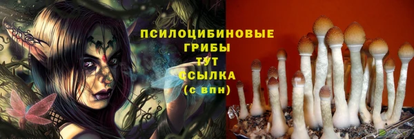 герыч Липки