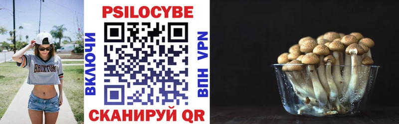 Купить закладки  Ярцево  Псилоцибиновые грибы ЛСД 